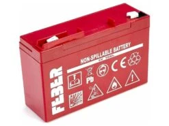 Famosa Bateria 6V. 10 Ah.