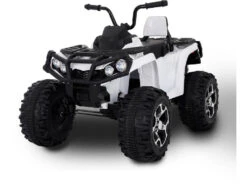 Quad Bateria 12v. Radio Control -Niños Juguetes Tienda 1911144399g01