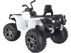 Quad Bateria 12v. Radio Control -Niños Juguetes Tienda 1911144399g03